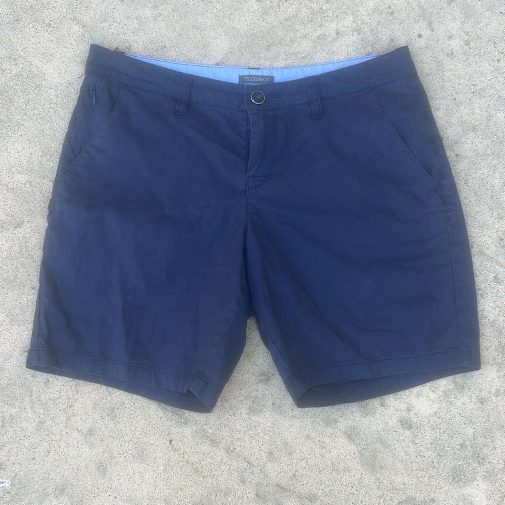 Toad & Co Women's Blue Hiking Outdoor Shorts Size 10